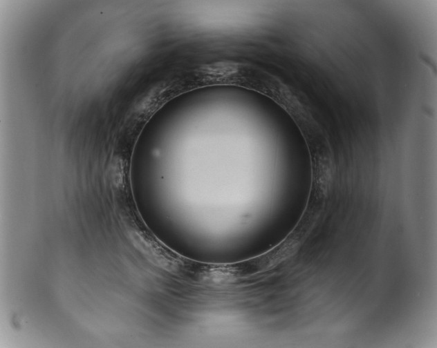 X0000101710758200807101604