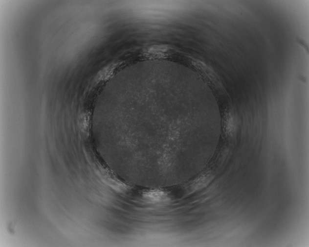 X0000101710759200807101604