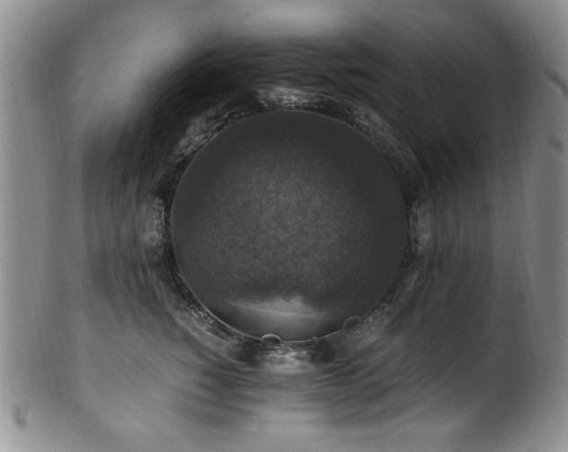X0000101710760200807101604