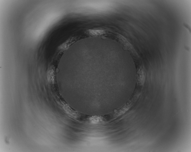 X0000101710762200807101604
