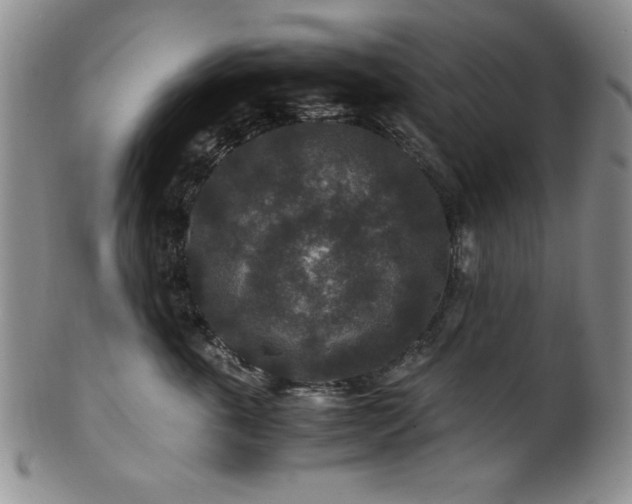 X0000101710763200807101604