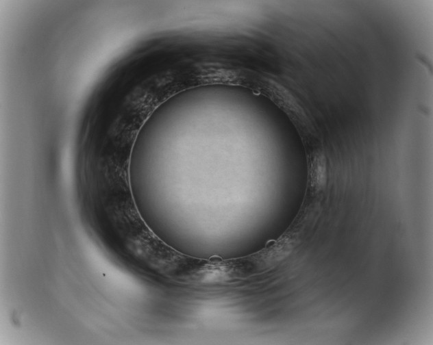 X0000101710764200807101604