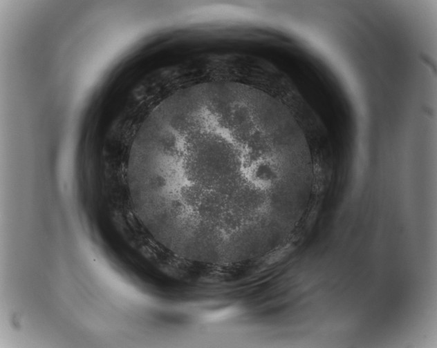 X0000101710765200807101604