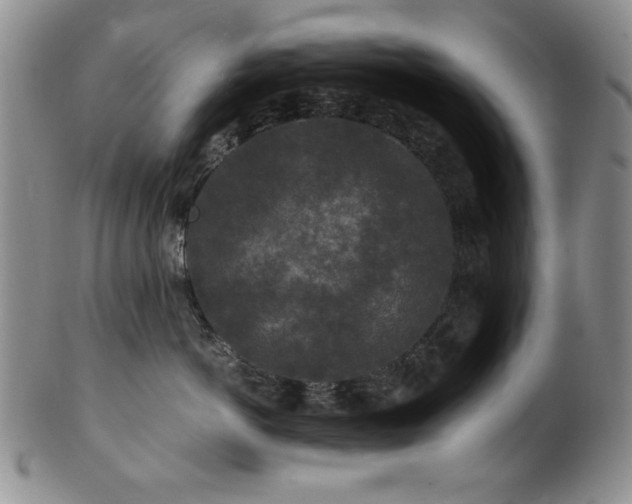 X0000101710766200807101604