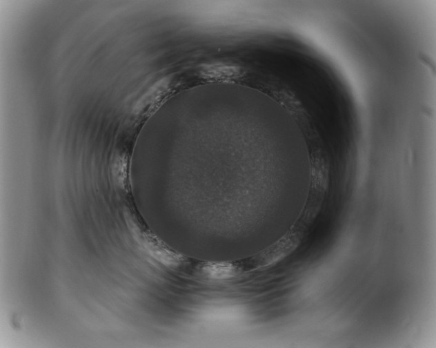 X0000101710767200807101605