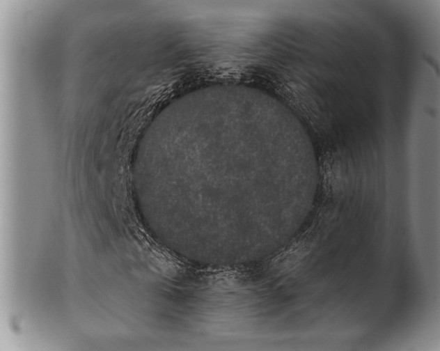 X0000101710769200807101604