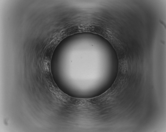 X0000101710770200807101604