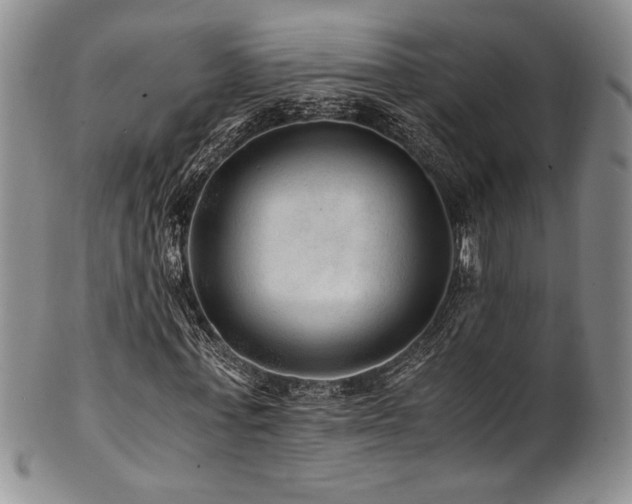 X0000101710771200807101604