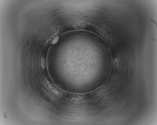 X0000101710772200807101604