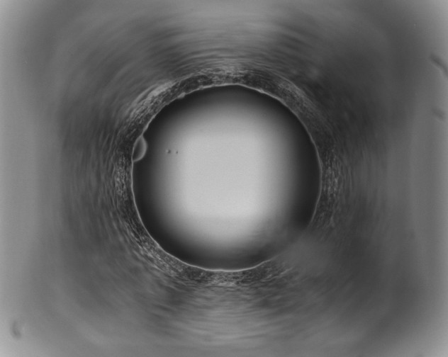 X0000101710773200807101604