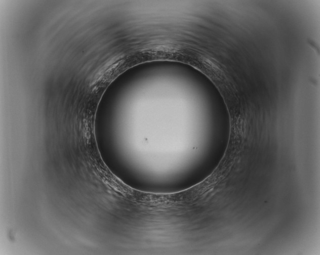 X0000101710774200807101604
