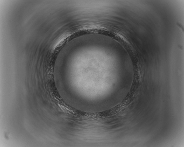 X0000101710775200807101604