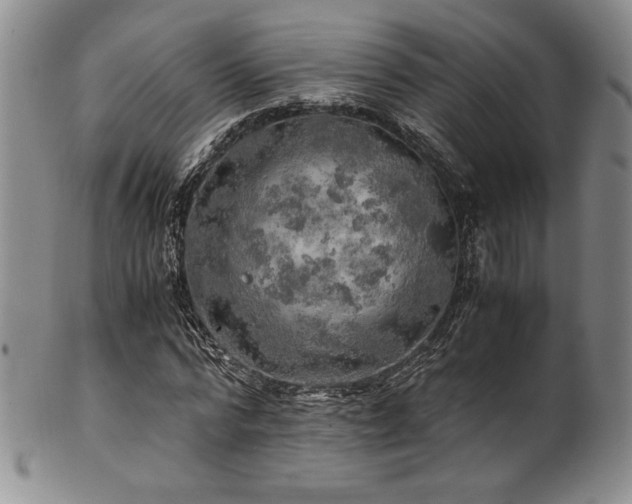 X0000101710776200807101604