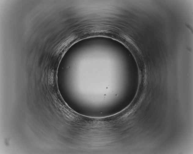 X0000101710777200807101604