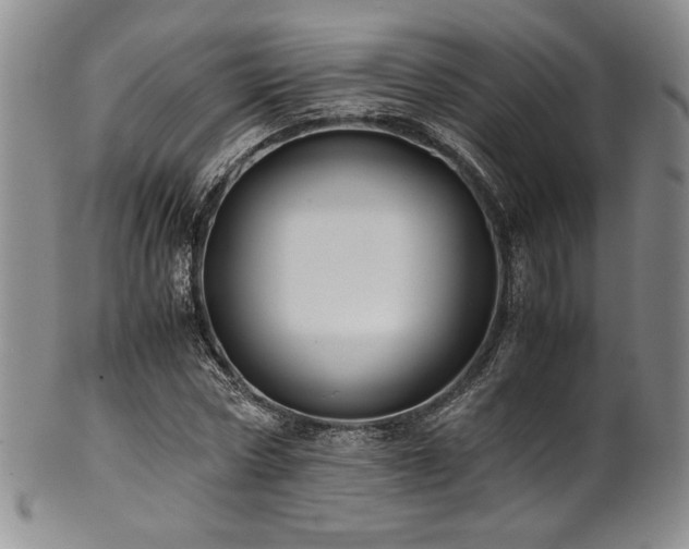 X0000101710778200807101604