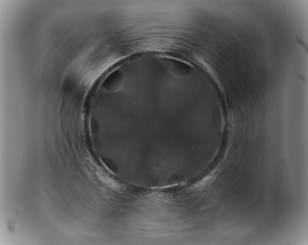 X0000101710779200807101604