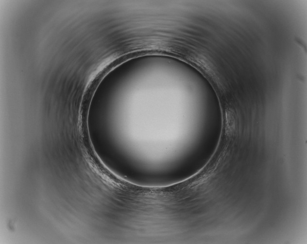 X0000101710780200807101604