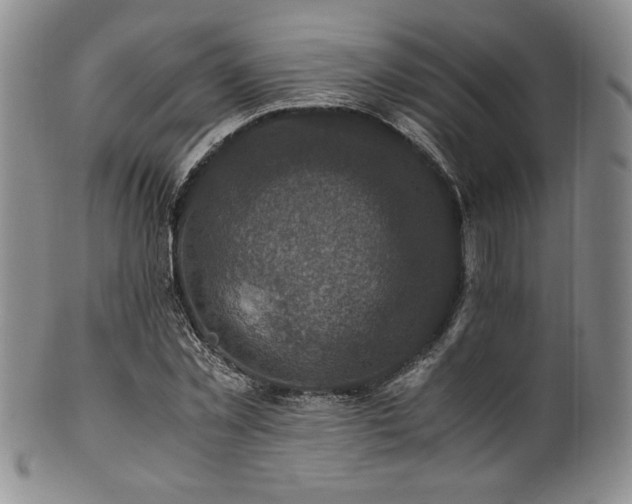 X0000101710781200807101604