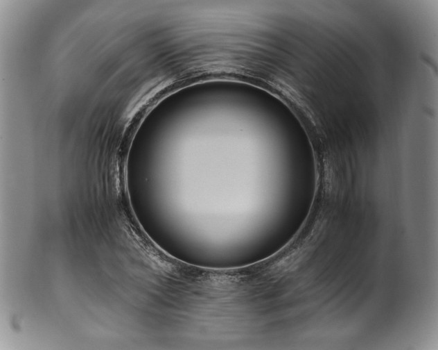 X0000101710782200807101604