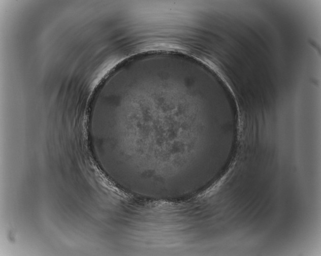 X0000101710783200807101604