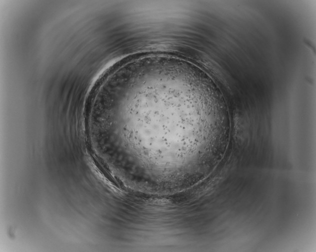 X0000101710784200807101604