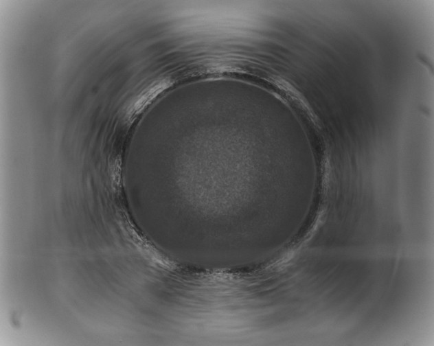 X0000101710785200807101604
