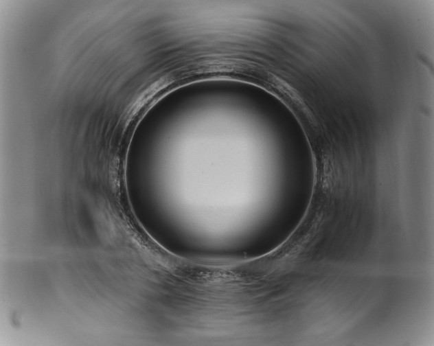 X0000101710786200807101604