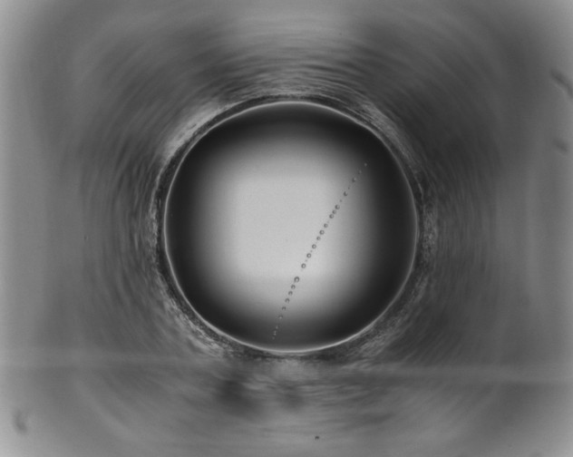 X0000101710787200807101604