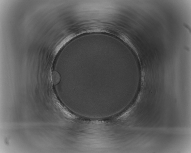 X0000101710789200807101603