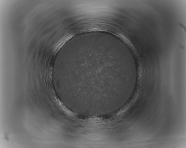 X0000101710793200807101603