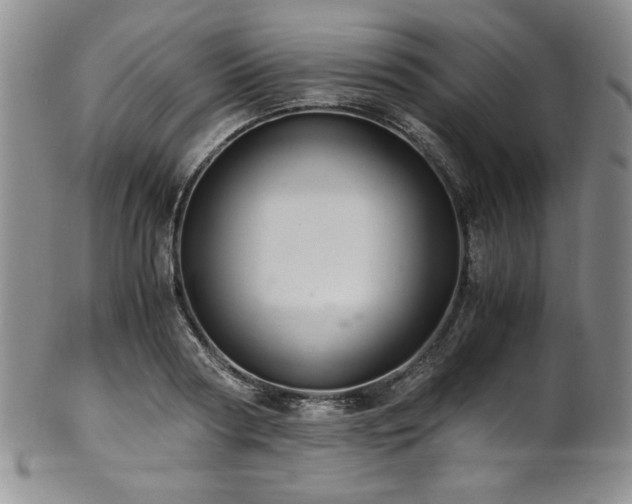 X0000101710794200807101603