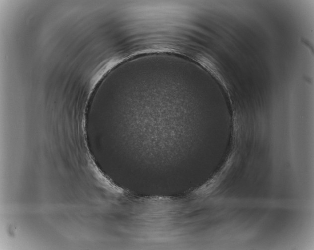 X0000101710797200807101603