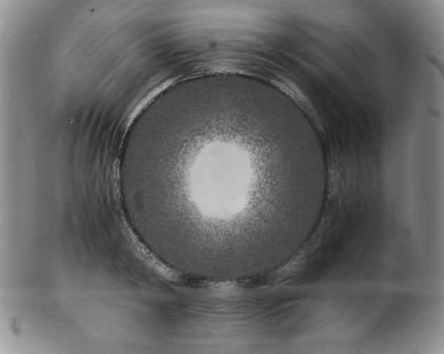 X0000101710798200807101603