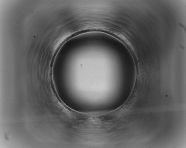 X0000101710799200807101603