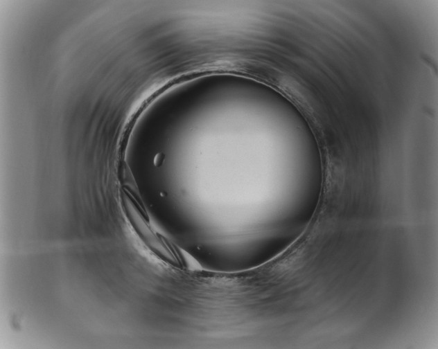 X0000101710800200807101603