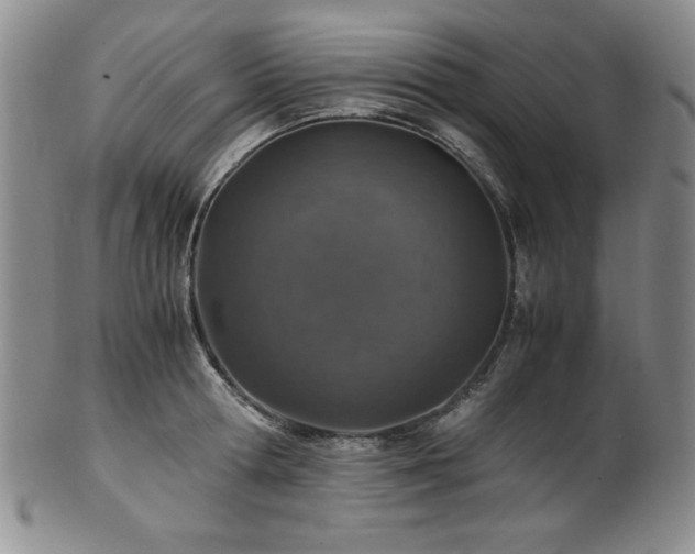 X0000101710802200807101603