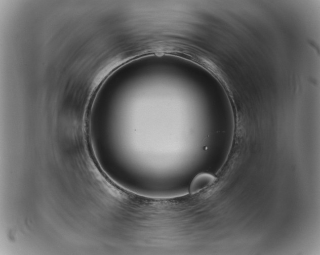 X0000101710803200807101603