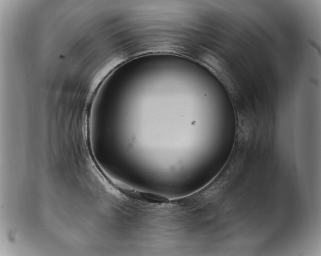 X0000101710804200807101603