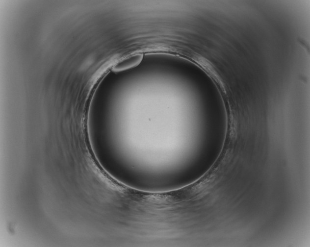 X0000101710805200807101603