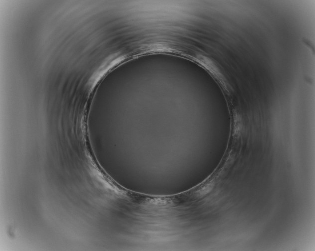 X0000101710806200807101603