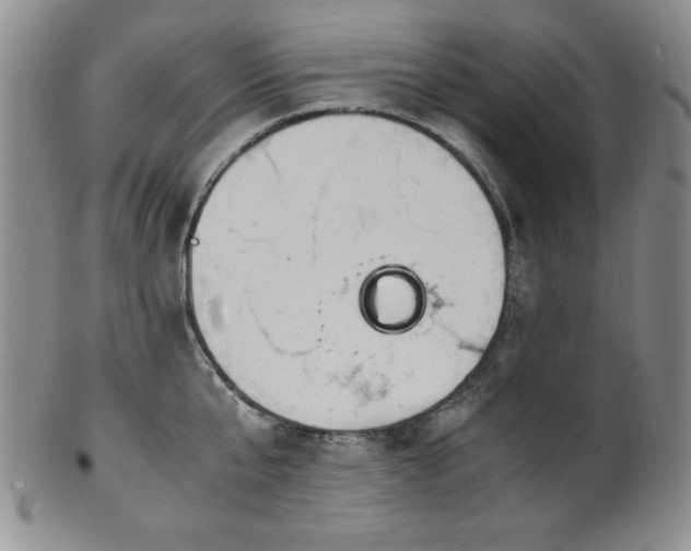X0000101710807200807101603