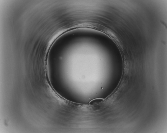 X0000101710808200807101603