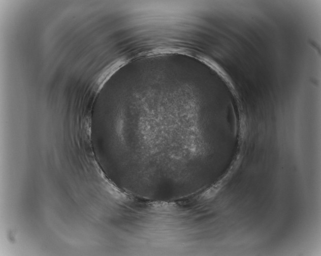 X0000101710809200807101603