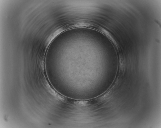 X0000101710810200807101603