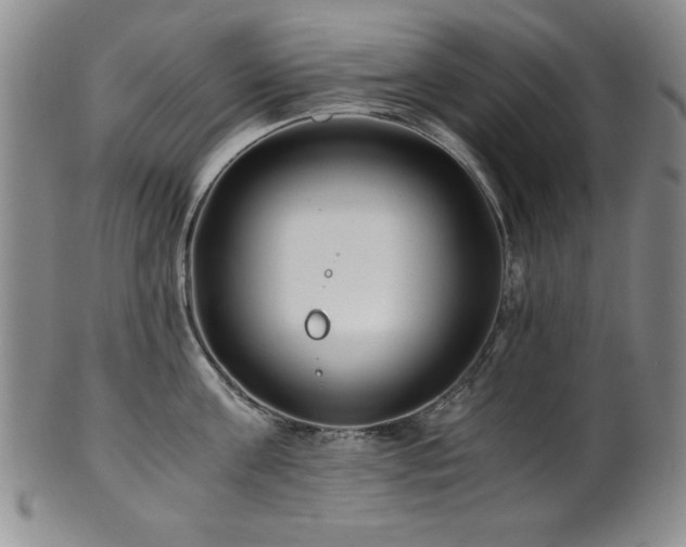 X0000101710811200807101603