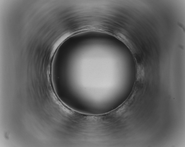 X0000101710812200807101603