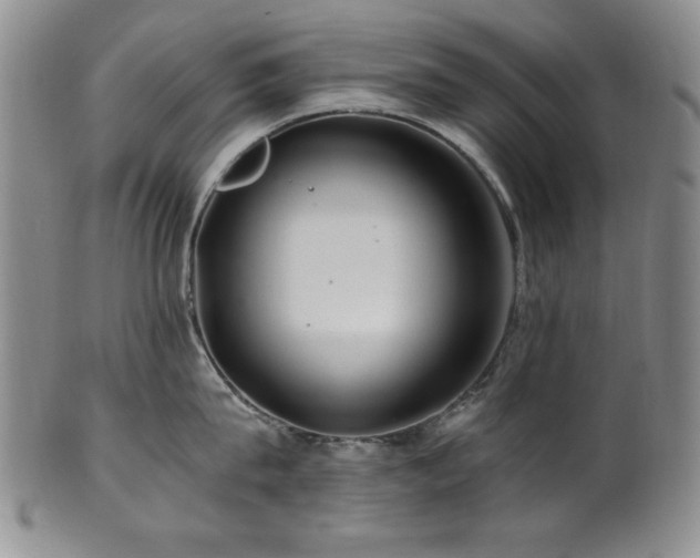 X0000101710815200807101603