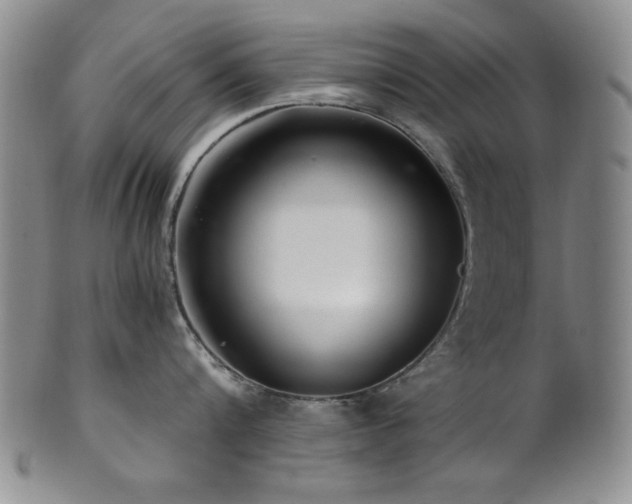 X0000101710816200807101603