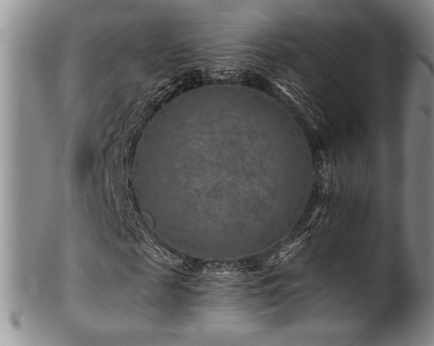 X0000101710817200807101602