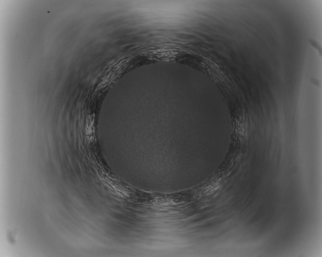 X0000101710818200807101602